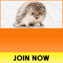 advertising for success