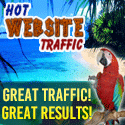 hot website traffic